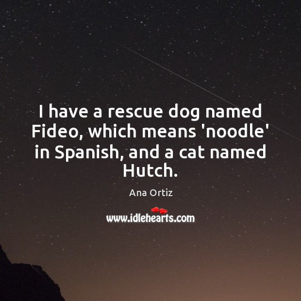 I have a rescue dog named Fideo, which means ‘noodle’ in Spanish, and a cat named Hutch. Ana Ortiz Picture Quote