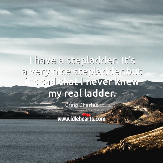 I have a stepladder. It’s a very nice stepladder but it’s sad that I never knew my real ladder. Craig Charles Picture Quote