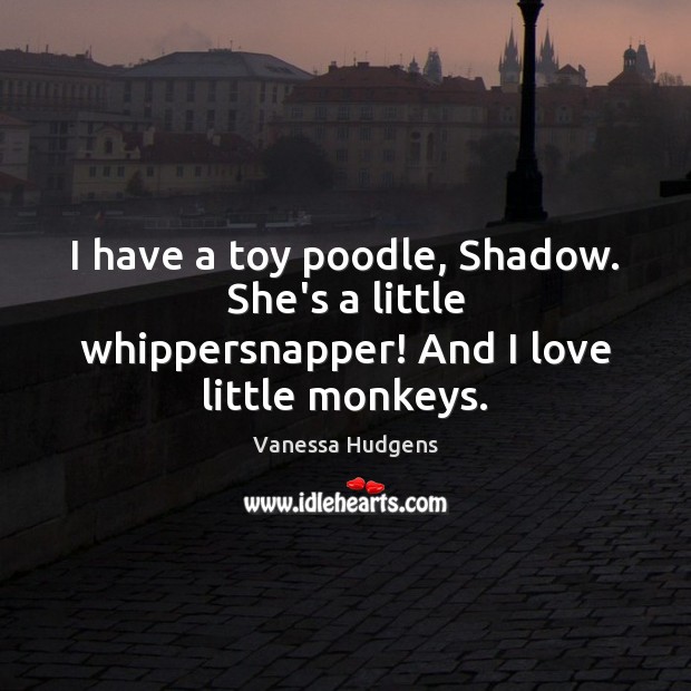 I have a toy poodle, Shadow. She’s a little whippersnapper! And I love little monkeys. Vanessa Hudgens Picture Quote