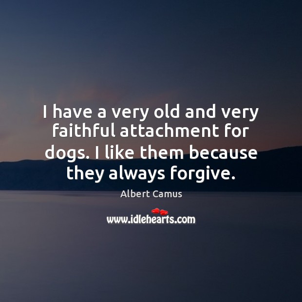 I have a very old and very faithful attachment for dogs. I Image