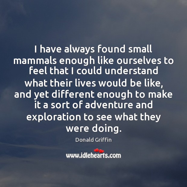 I have always found small mammals enough like ourselves to feel that Donald Griffin Picture Quote
