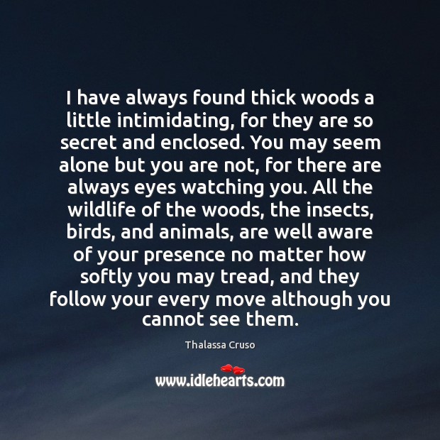 I have always found thick woods a little intimidating, for they are Thalassa Cruso Picture Quote