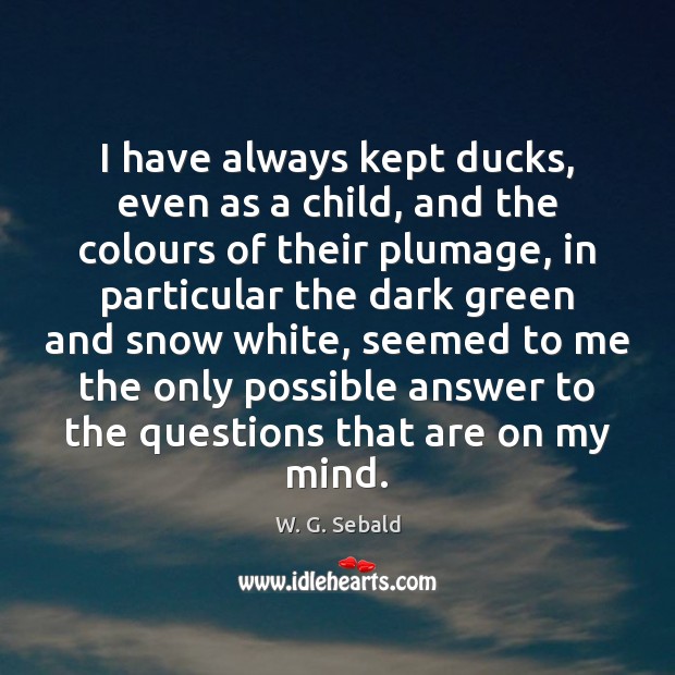 I have always kept ducks, even as a child, and the colours W. G. Sebald Picture Quote