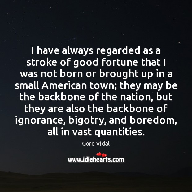 I have always regarded as a stroke of good fortune that I Gore Vidal Picture Quote
