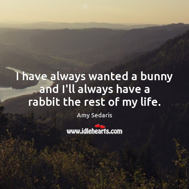 I have always wanted a bunny and I’ll always have a rabbit the rest of my life. Amy Sedaris Picture Quote