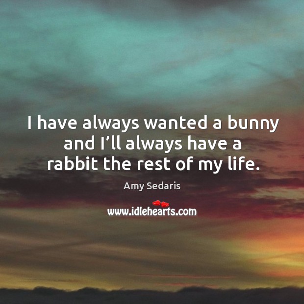 I have always wanted a bunny and I’ll always have a rabbit the rest of my life. Amy Sedaris Picture Quote
