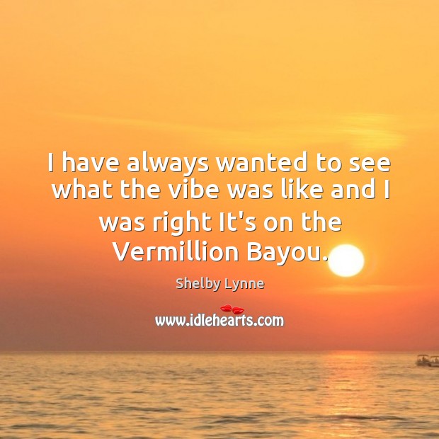 I have always wanted to see what the vibe was like and Shelby Lynne Picture Quote