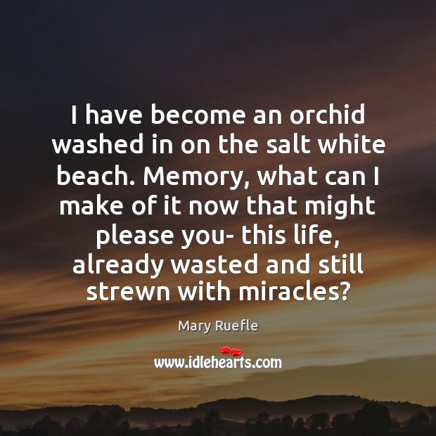 I have become an orchid washed in on the salt white beach. Image