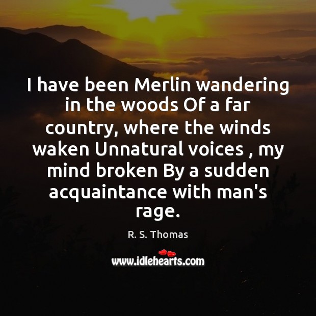 I have been Merlin wandering in the woods Of a far country, R. S. Thomas Picture Quote
