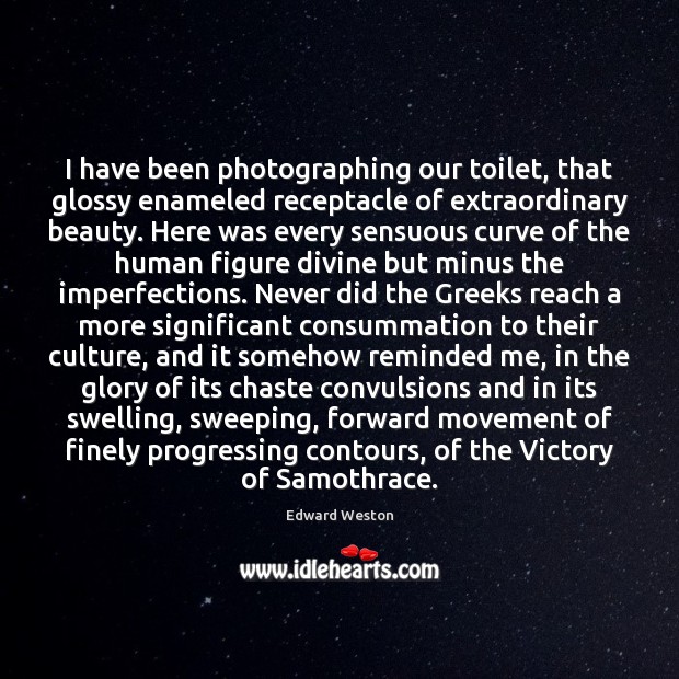I have been photographing our toilet, that glossy enameled receptacle of extraordinary Image