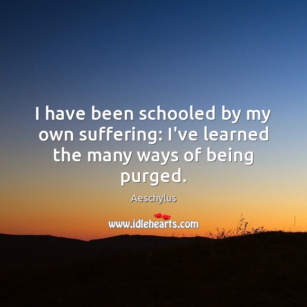 I have been schooled by my own suffering: I’ve learned the many ways of being purged. Aeschylus Picture Quote