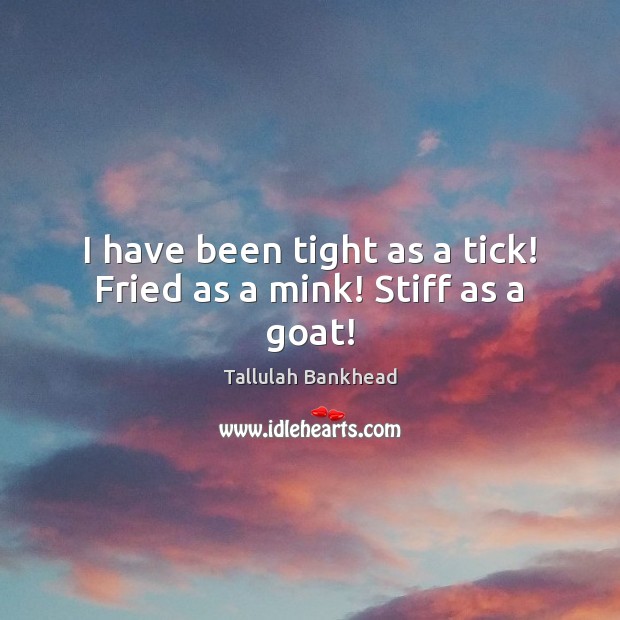 I have been tight as a tick! Fried as a mink! Stiff as a goat! Tallulah Bankhead Picture Quote