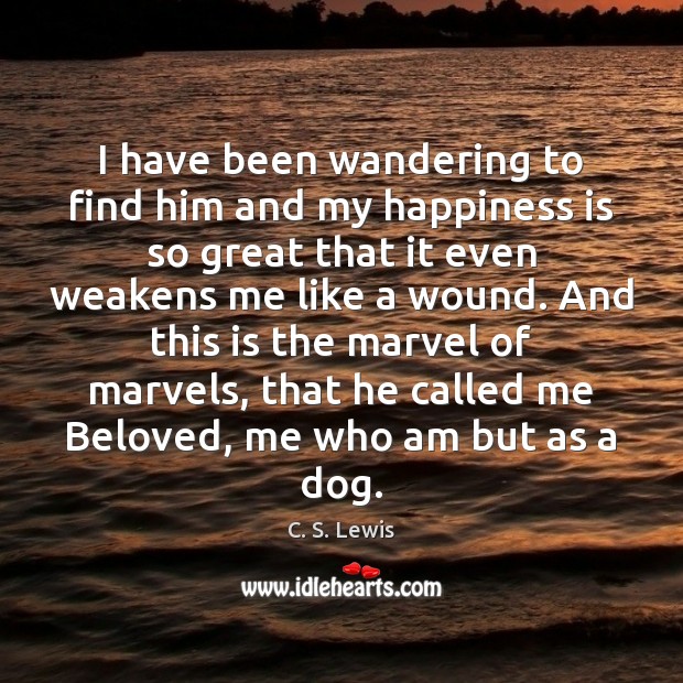 I have been wandering to find him and my happiness is so Happiness Quotes Image
