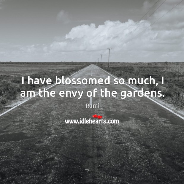 I have blossomed so much, I am the envy of the gardens. Image