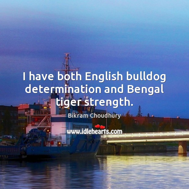I have both English bulldog determination and Bengal tiger strength. Image