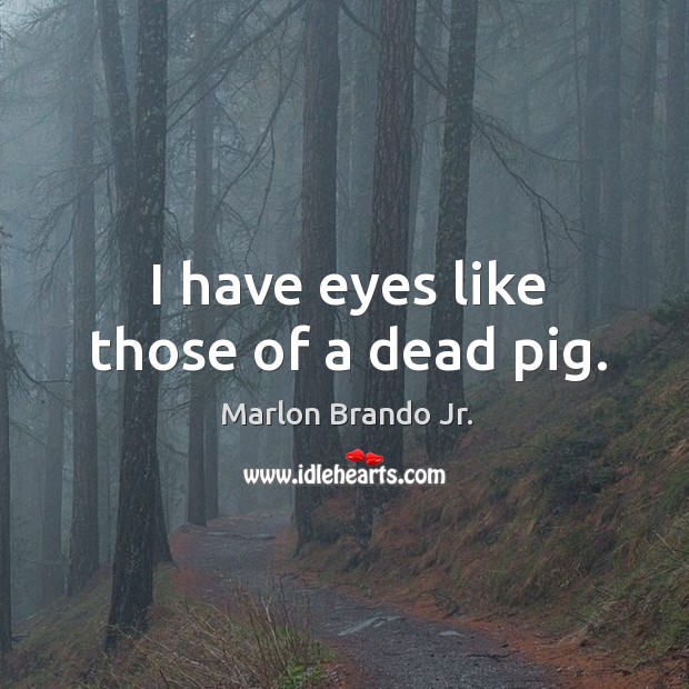 I have eyes like those of a dead pig. Image