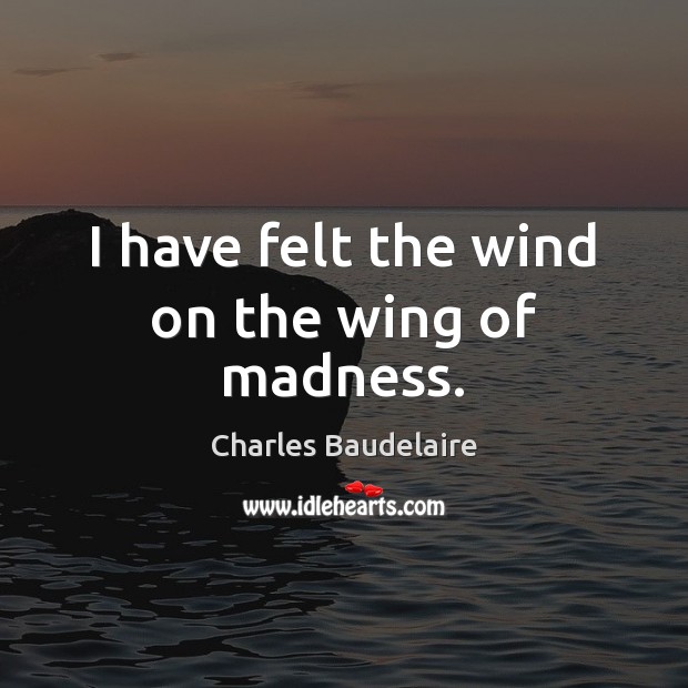I have felt the wind on the wing of madness. Charles Baudelaire Picture Quote
