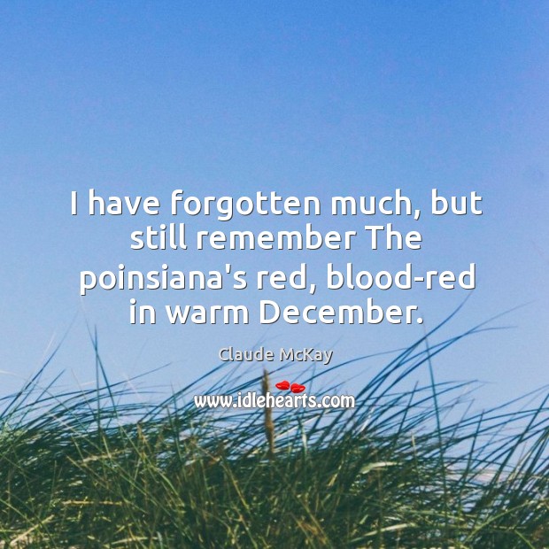 I have forgotten much, but still remember The poinsiana’s red, blood-red in warm December. Image