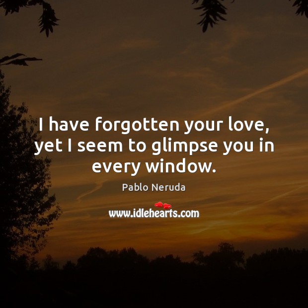 I have forgotten your love, yet I seem to glimpse you in every window. Pablo Neruda Picture Quote