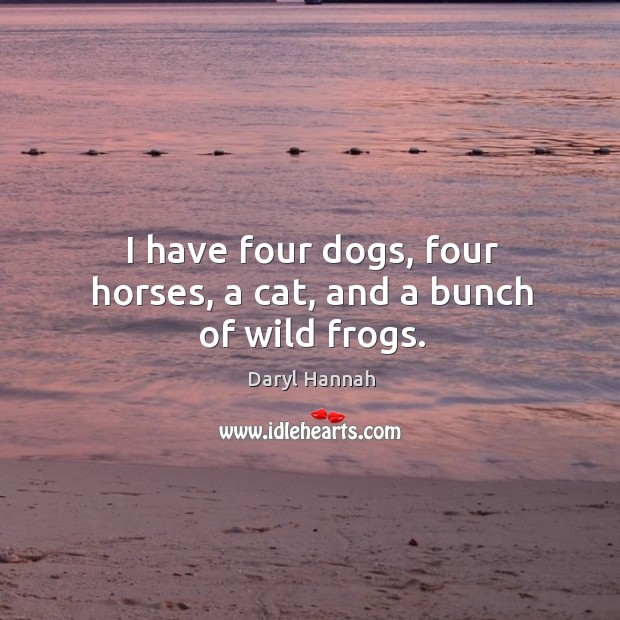I have four dogs, four horses, a cat, and a bunch of wild frogs. Daryl Hannah Picture Quote