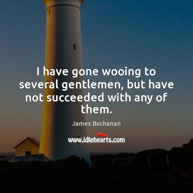 I have gone wooing to several gentlemen, but have not succeeded with any of them. James Buchanan Picture Quote
