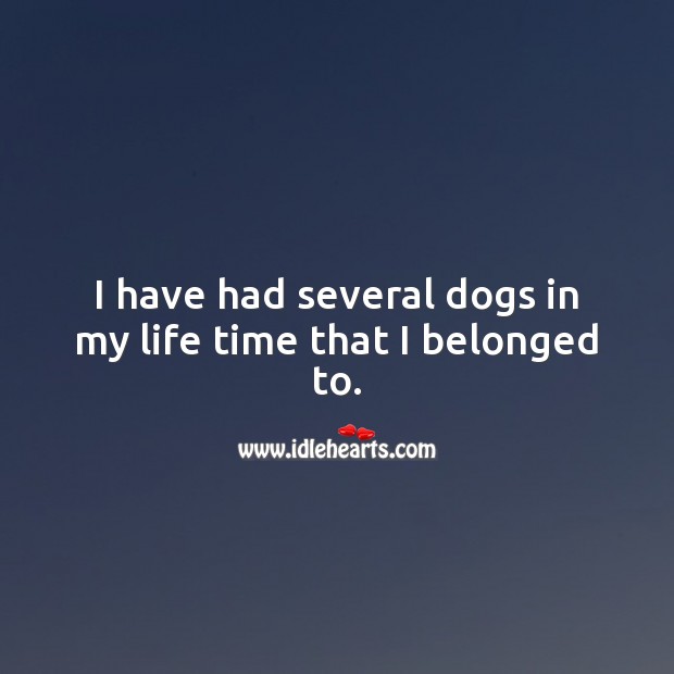 I have had several dogs in my life time that I belonged to. Pet Quotes Image