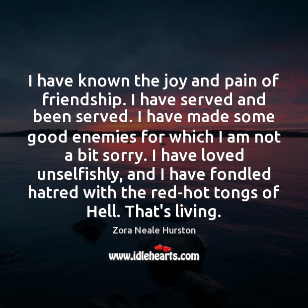 I have known the joy and pain of friendship. I have served Zora Neale Hurston Picture Quote