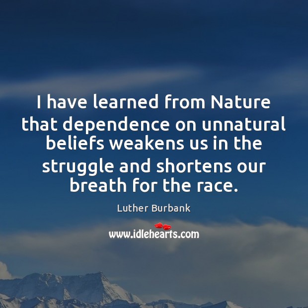 I have learned from Nature that dependence on unnatural beliefs weakens us Luther Burbank Picture Quote