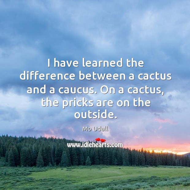 I have learned the difference between a cactus and a caucus. On a cactus, the pricks are on the outside. Image