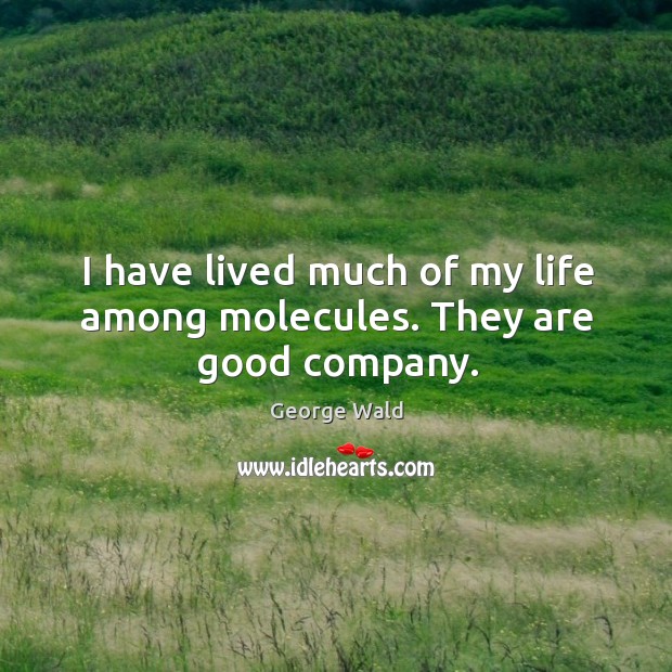 I have lived much of my life among molecules. They are good company. Image