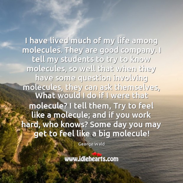 I have lived much of my life among molecules. They are good George Wald Picture Quote