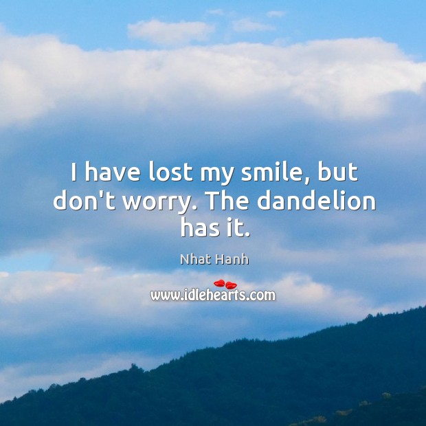 I have lost my smile, but don’t worry. The dandelion has it. Nhat Hanh Picture Quote