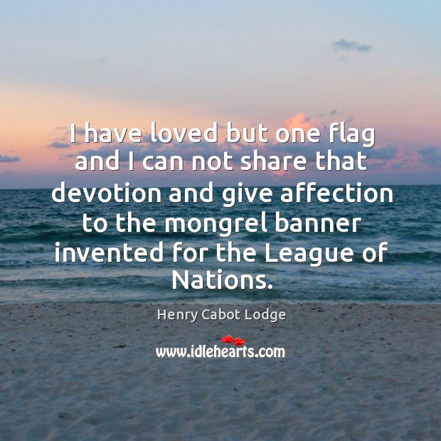 I have loved but one flag and I can not share that devotion and give affection to the Henry Cabot Lodge Picture Quote