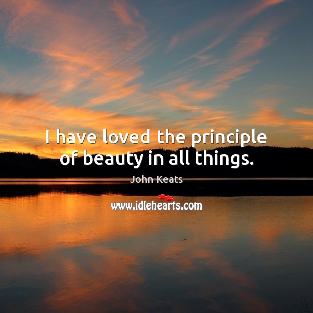 I have loved the principle of beauty in all things. John Keats Picture Quote