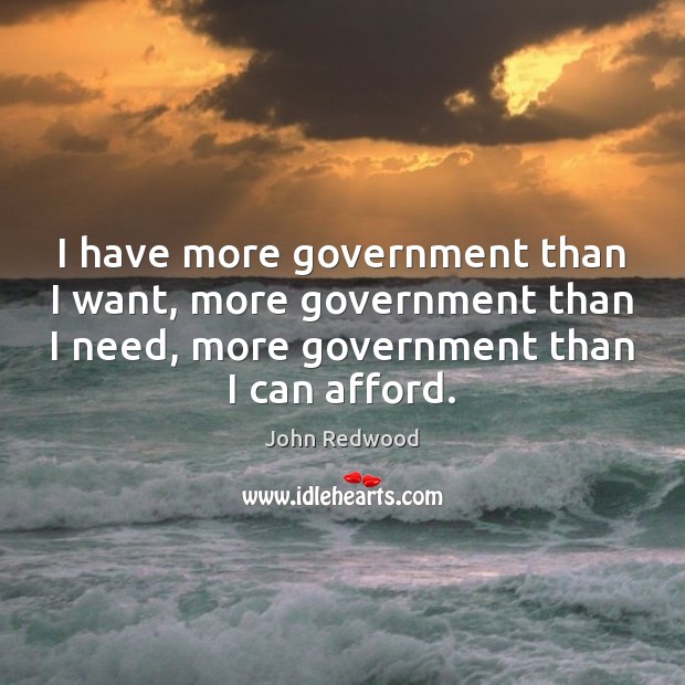 I have more government than I want, more government than I need, John Redwood Picture Quote
