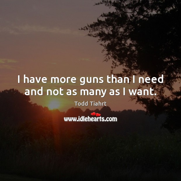 I have more guns than I need and not as many as I want. Image