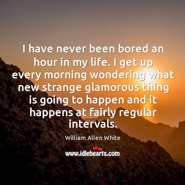 I have never been bored an hour in my life. William Allen White Picture Quote