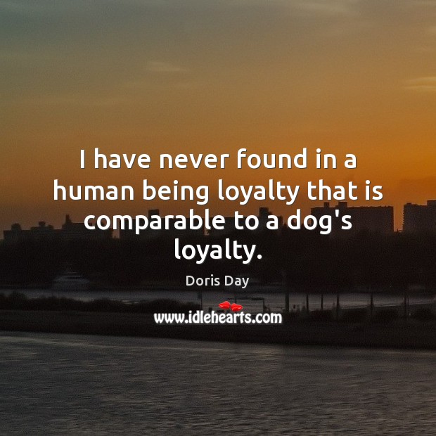 I have never found in a human being loyalty that is comparable to a dog’s loyalty. Doris Day Picture Quote
