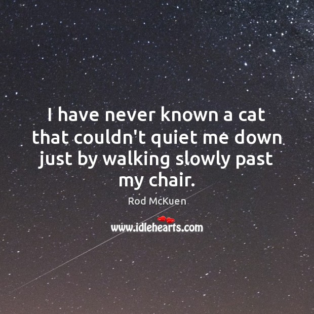 I have never known a cat that couldn’t quiet me down just by walking slowly past my chair. Rod McKuen Picture Quote