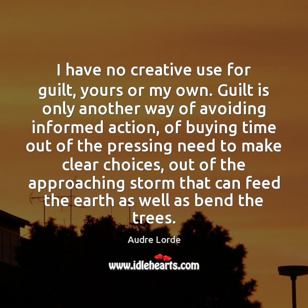 I have no creative use for guilt, yours or my own. Guilt Audre Lorde Picture Quote