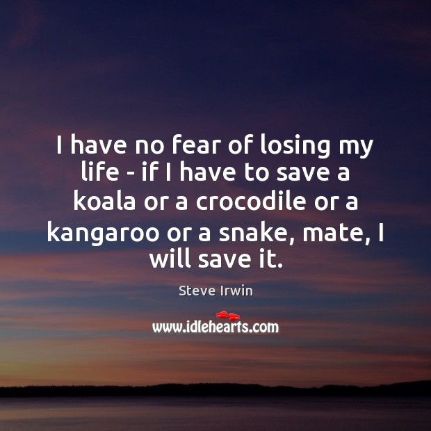 I have no fear of losing my life – if I have Steve Irwin Picture Quote