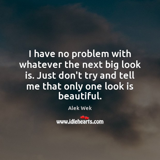 I have no problem with whatever the next big look is. Just Alek Wek Picture Quote