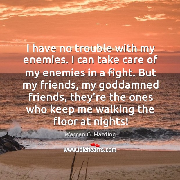 I have no trouble with my enemies. I can take care of my enemies in a fight. Warren G. Harding Picture Quote
