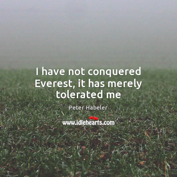 I have not conquered Everest, it has merely tolerated me 