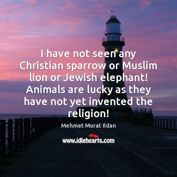 I have not seen any Christian sparrow or Muslim lion or Jewish Mehmet Murat Ildan Picture Quote
