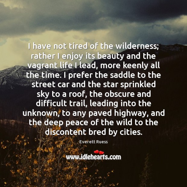 I have not tired of the wilderness; rather I enjoy its beauty Everett Ruess Picture Quote