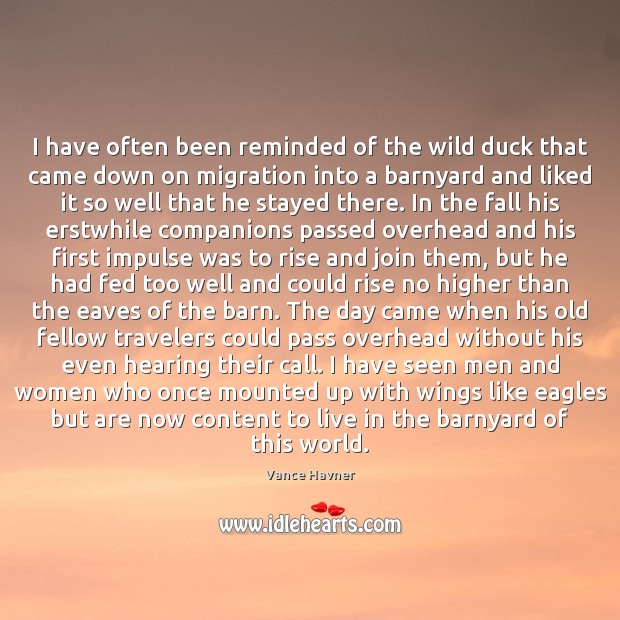 I have often been reminded of the wild duck that came down Vance Havner Picture Quote