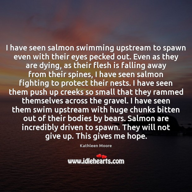 I have seen salmon swimming upstream to spawn even with their eyes Kathleen Moore Picture Quote