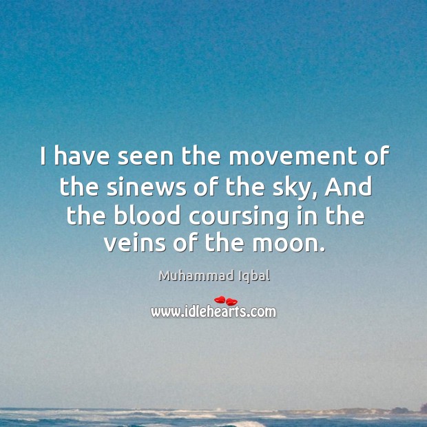 I have seen the movement of the sinews of the sky, and the blood coursing in the veins of the moon. Image
