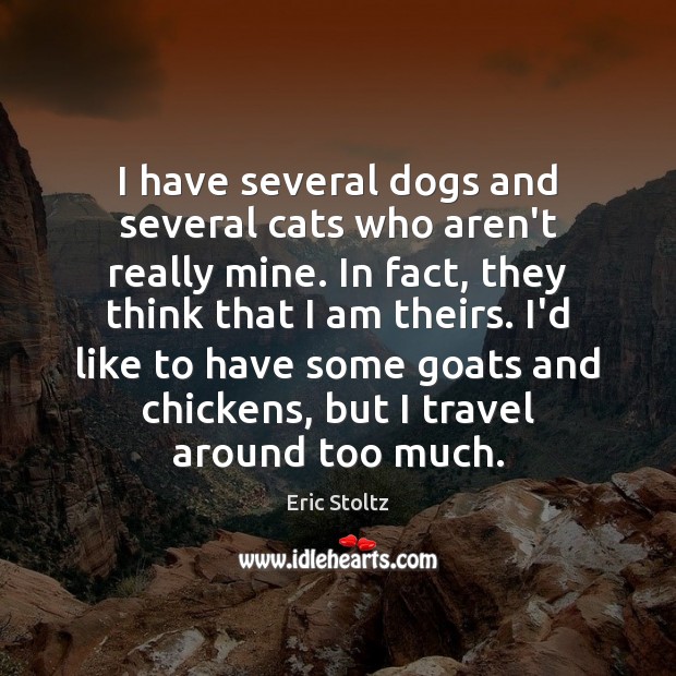 I have several dogs and several cats who aren’t really mine. In Eric Stoltz Picture Quote